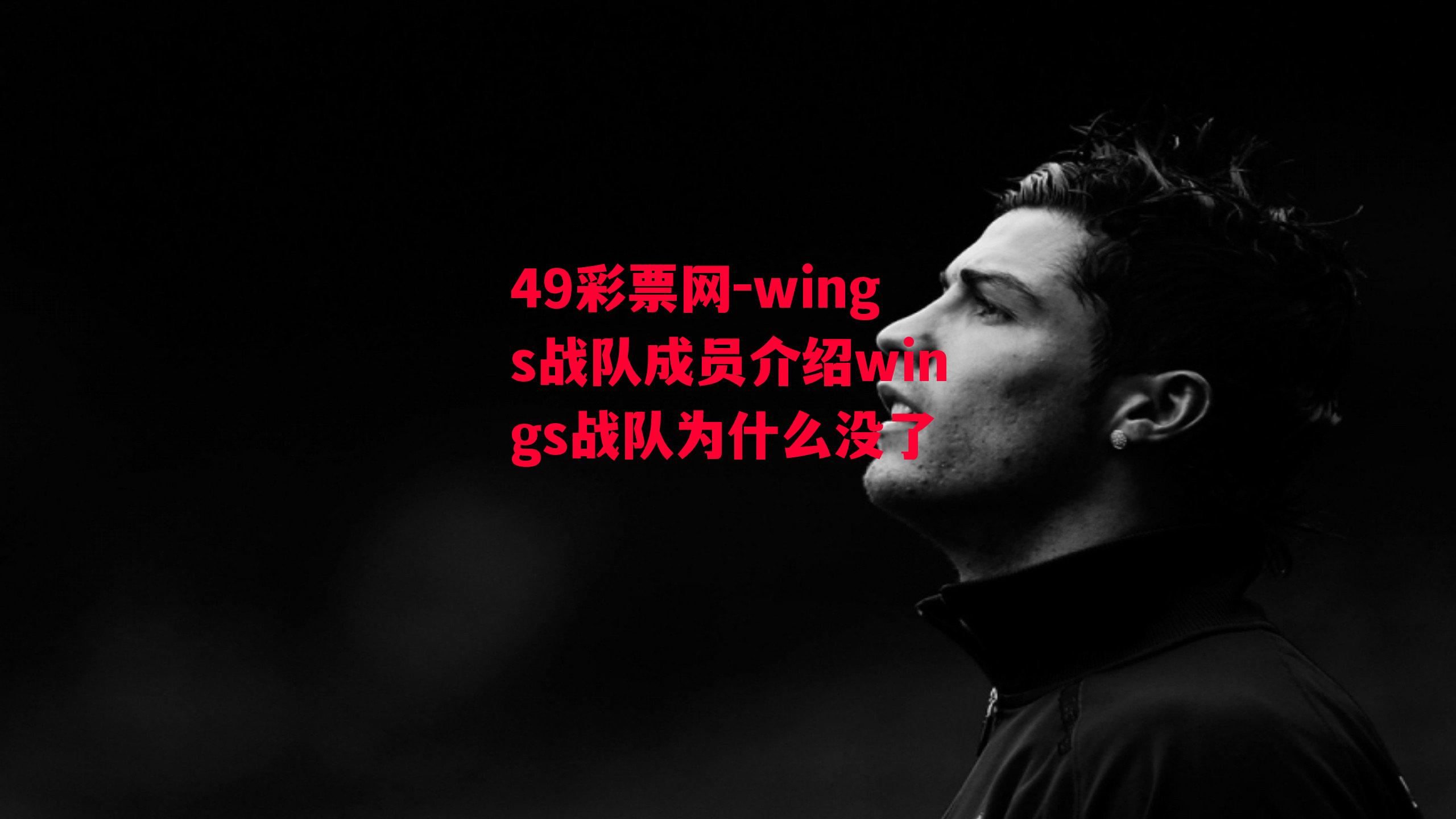 wings战队成员介绍wings战队为什么没了